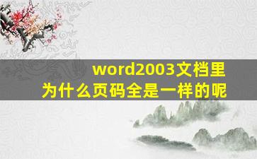 word2003文档里为什么页码全是一样的呢