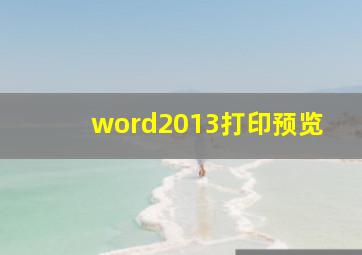 word2013打印预览