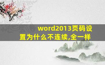 word2013页码设置为什么不连续,全一样