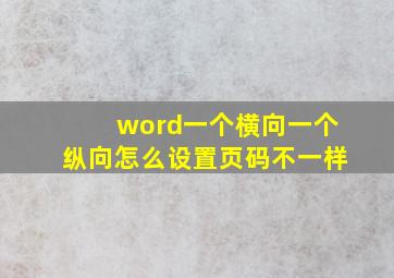 word一个横向一个纵向怎么设置页码不一样