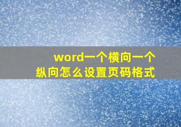 word一个横向一个纵向怎么设置页码格式