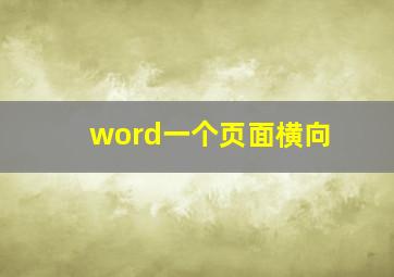 word一个页面横向