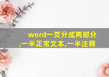 word一页分成两部分,一半正常文本,一半注释