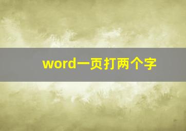 word一页打两个字