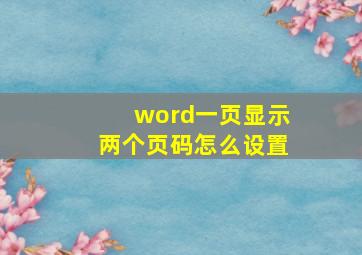 word一页显示两个页码怎么设置