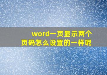 word一页显示两个页码怎么设置的一样呢