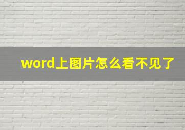 word上图片怎么看不见了