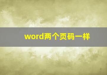 word两个页码一样