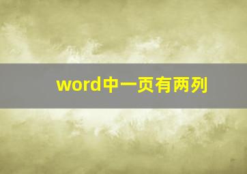 word中一页有两列