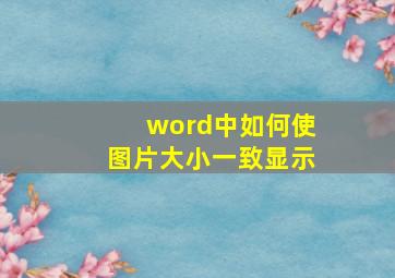 word中如何使图片大小一致显示