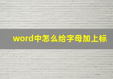 word中怎么给字母加上标