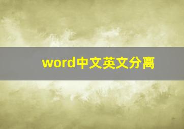 word中文英文分离