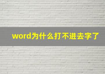 word为什么打不进去字了