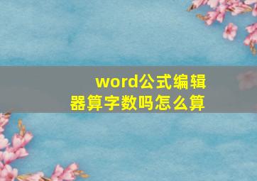 word公式编辑器算字数吗怎么算