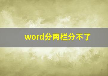 word分两栏分不了