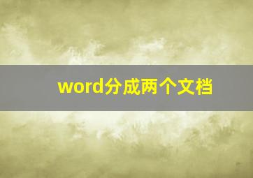 word分成两个文档