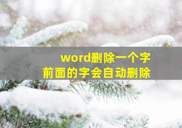 word删除一个字前面的字会自动删除