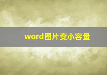 word图片变小容量