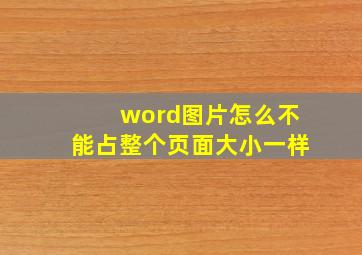 word图片怎么不能占整个页面大小一样