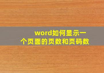 word如何显示一个页面的页数和页码数