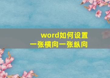 word如何设置一张横向一张纵向