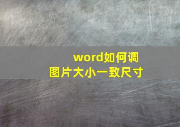 word如何调图片大小一致尺寸