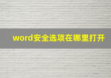 word安全选项在哪里打开