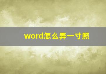 word怎么弄一寸照