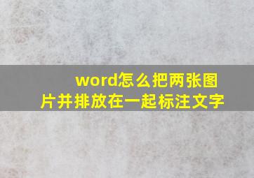 word怎么把两张图片并排放在一起标注文字