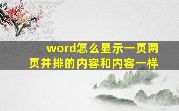 word怎么显示一页两页并排的内容和内容一样