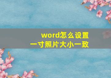 word怎么设置一寸照片大小一致