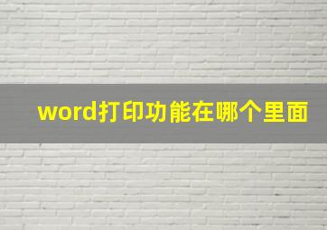 word打印功能在哪个里面