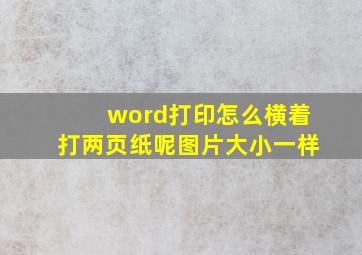 word打印怎么横着打两页纸呢图片大小一样