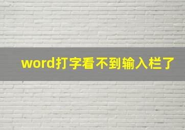 word打字看不到输入栏了