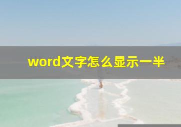 word文字怎么显示一半