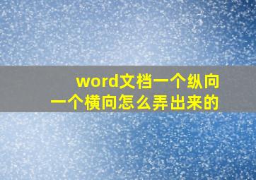 word文档一个纵向一个横向怎么弄出来的