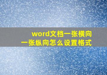 word文档一张横向一张纵向怎么设置格式