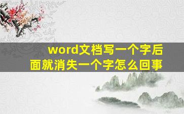 word文档写一个字后面就消失一个字怎么回事