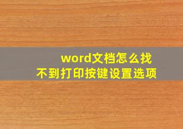 word文档怎么找不到打印按键设置选项