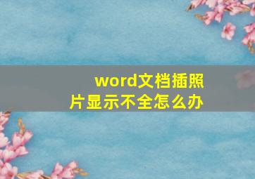 word文档插照片显示不全怎么办