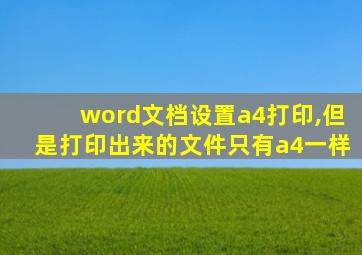 word文档设置a4打印,但是打印出来的文件只有a4一样