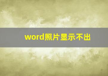 word照片显示不出