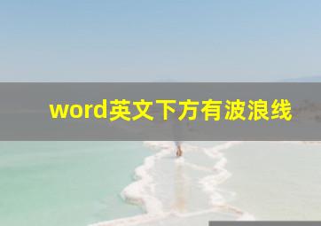 word英文下方有波浪线