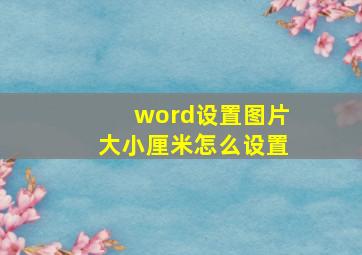 word设置图片大小厘米怎么设置