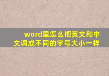 word里怎么把英文和中文调成不同的字号大小一样