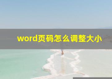 word页码怎么调整大小