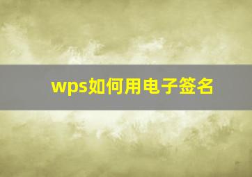 wps如何用电子签名