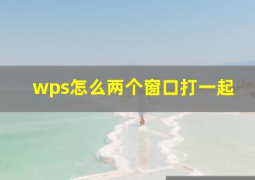 wps怎么两个窗口打一起