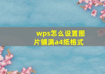 wps怎么设置图片铺满a4纸格式