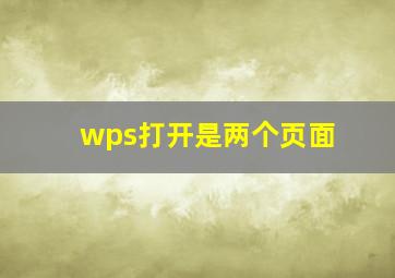 wps打开是两个页面